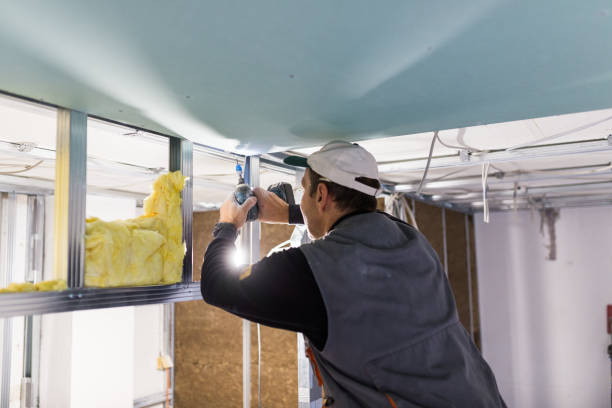 Best Residential Insulation in Limestone Creek, FL